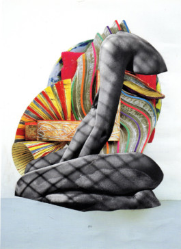 fasciae_collage